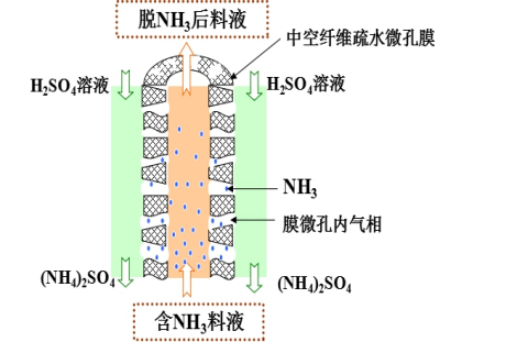 氣態(tài)膜法脫氨的基本原理（中空纖維膜剖面圖）.jpg